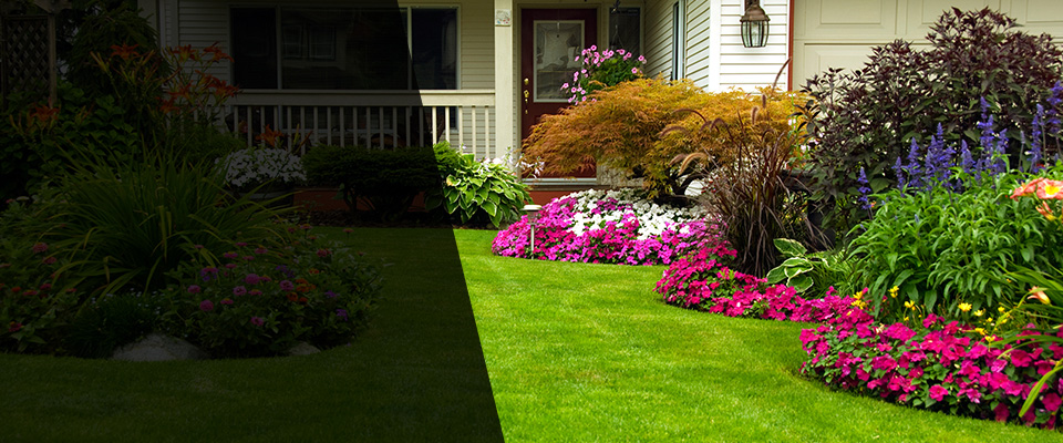 Barry Landscapers